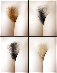 Hairy Wet Pussy Pics